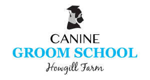 Canine Groom School